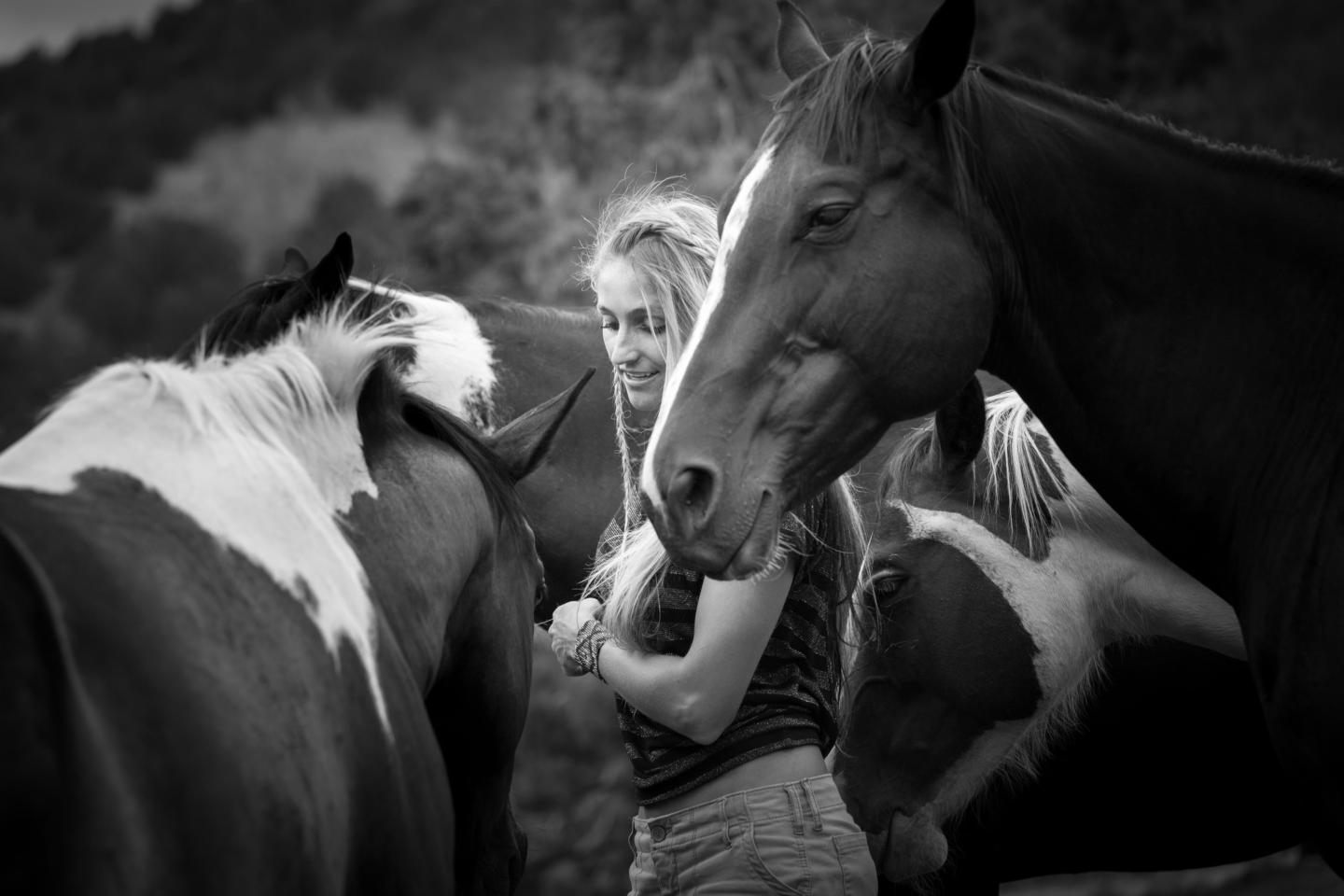 The Western Horse Circle