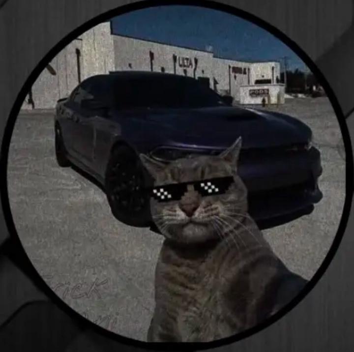 Benmezian Abdelmalek