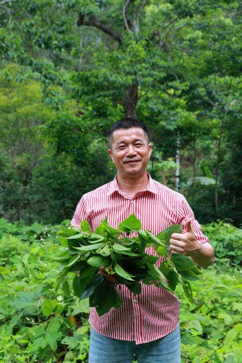 Phương Thảo dược