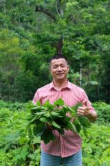 Phương Thảo dược