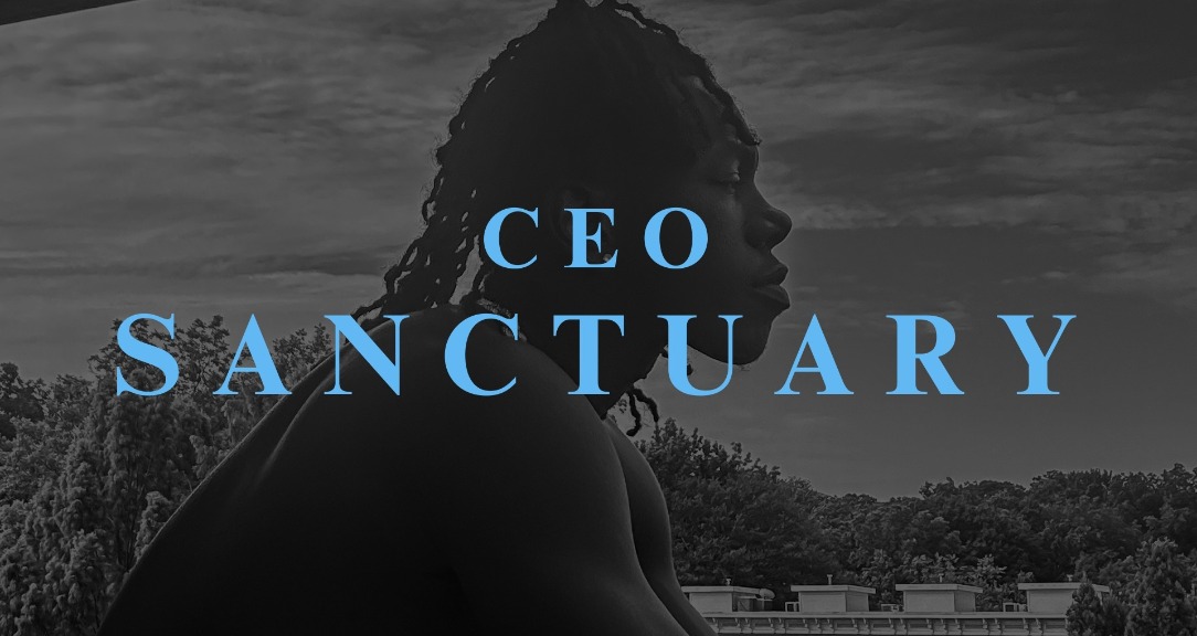 THE CEO SANCTUARY