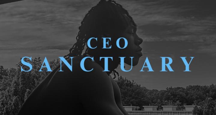 THE CEO SANCTUARY