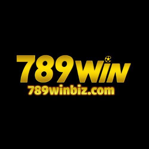 Winbiz com Com