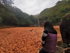 Mary Alejandra Vilela Campero