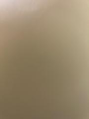 Gustavo Alonso Andrade Tototzintle