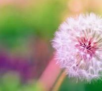 Emma and Neil Wilson