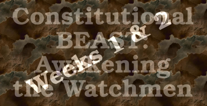 CB: Week 1: Ongoing Feedback