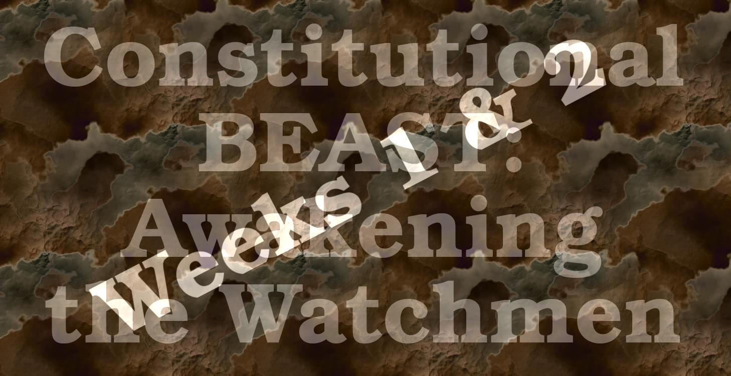 Constitutional Beast: Weeks 1+2
