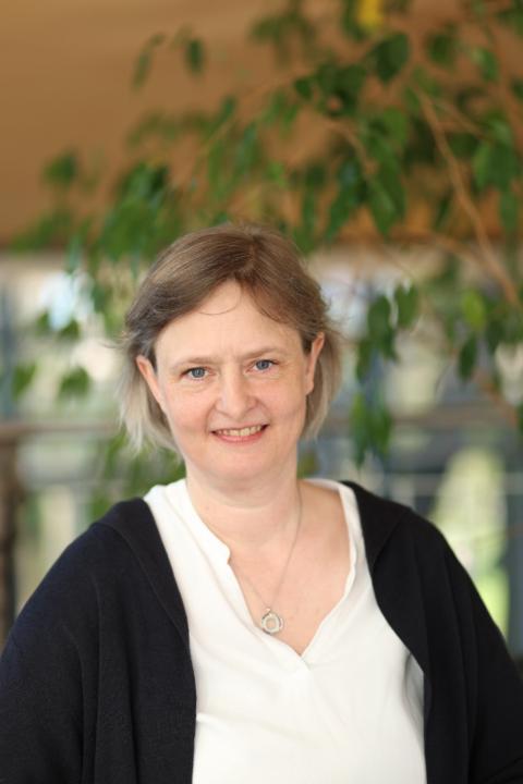 Maraile Lichdi