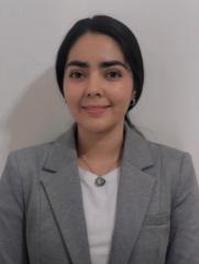 Ingri Johana Guerrero Rodríguez