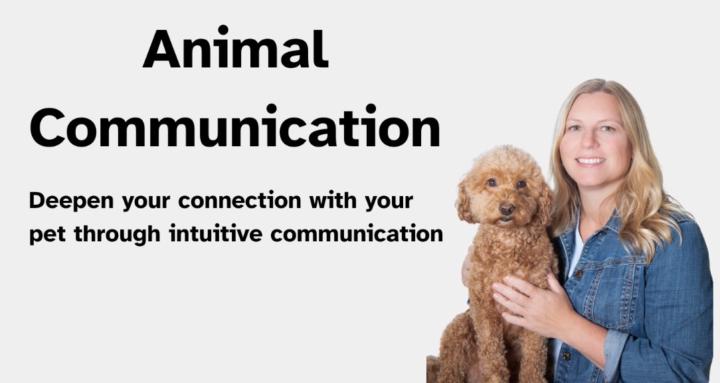 Animal Communication