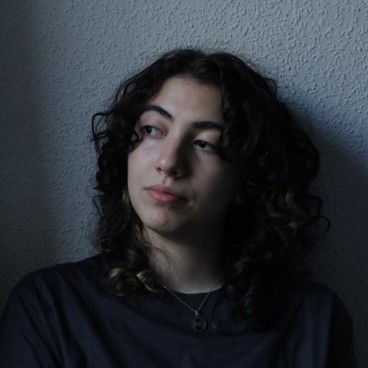 Baran Zakerfathi