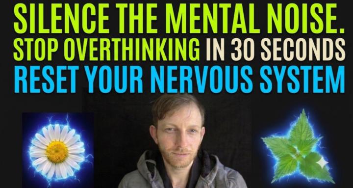 Easy Herbalist™ Nervous System