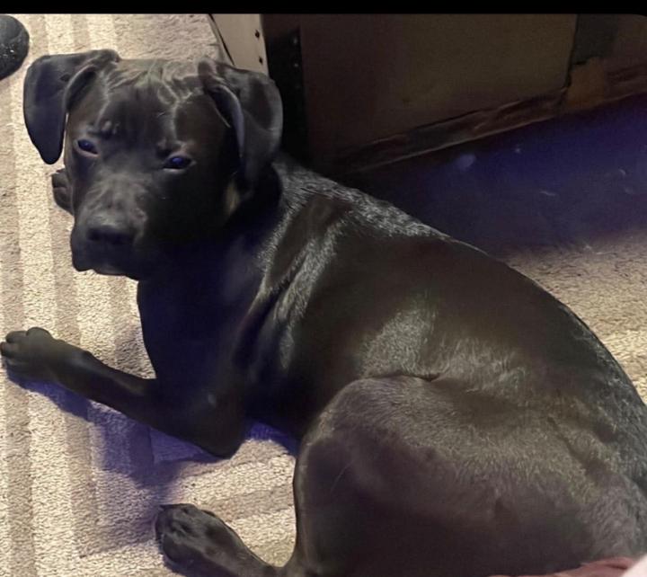 Kathleen Eves Kinsley