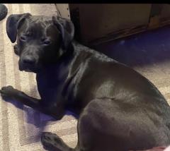 Kathleen Eves Kinsley