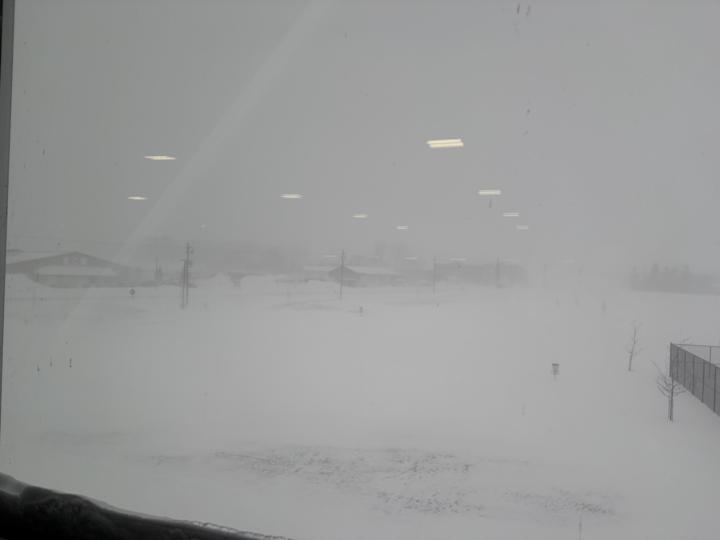 What is your weather like today ? 