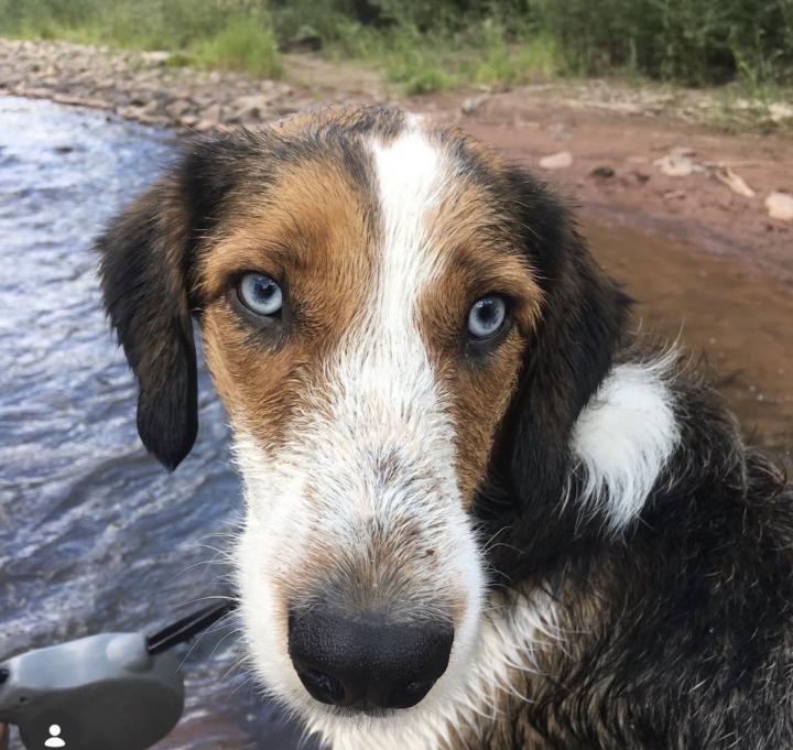 Small win, sad story and a chocolate chip cookie!