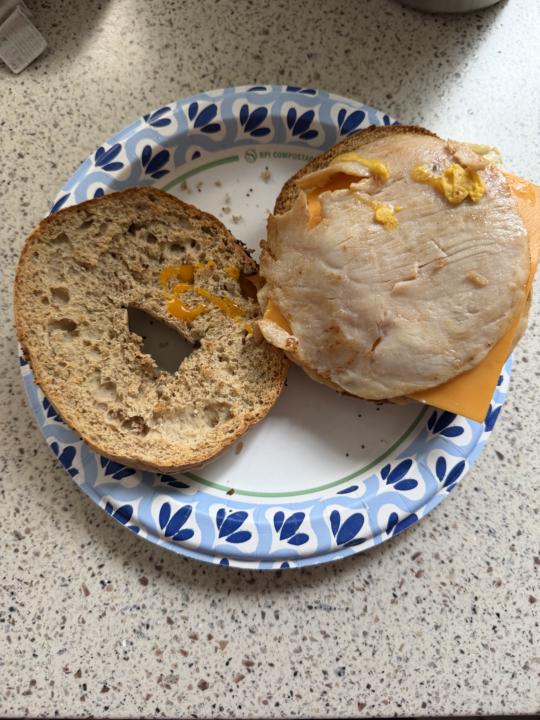 🥯 Low Carb High Protein Bagel Hack 🔥 (Royo Everything > Cinnamon Raisin 👀)