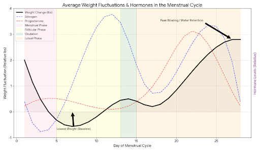 Weight fluctuations - for women