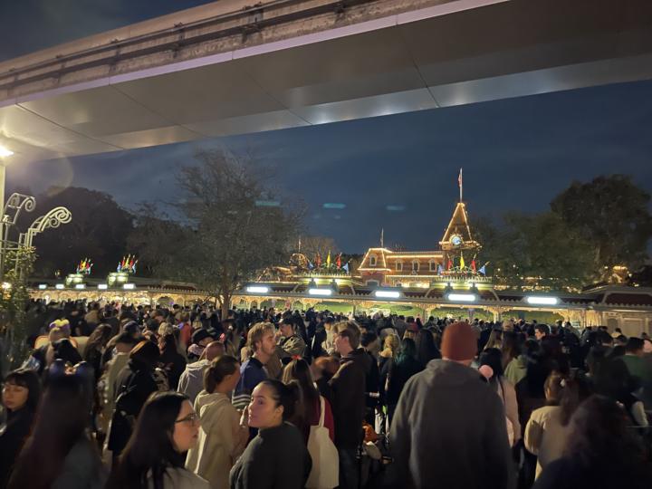 🏰✨ Disney Crowd Struggle Is REAL ✨🏰