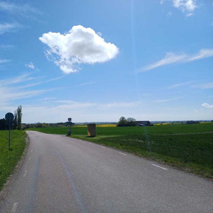 Today's walk..