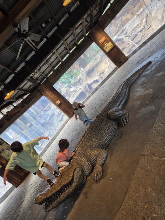 Fun Day at the ZOO today