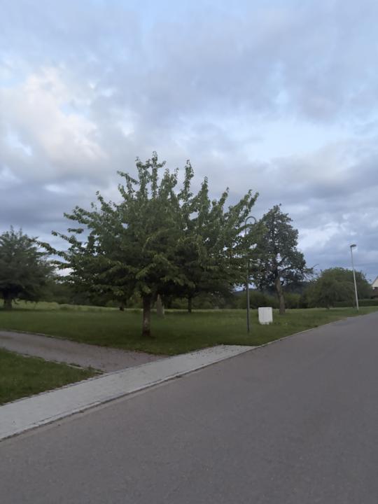 Roadtrip and daily walk