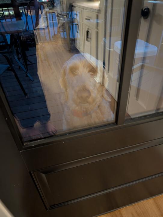 Those FML moments...