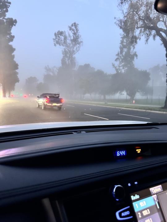 Flex Friday: Gratitude Gains