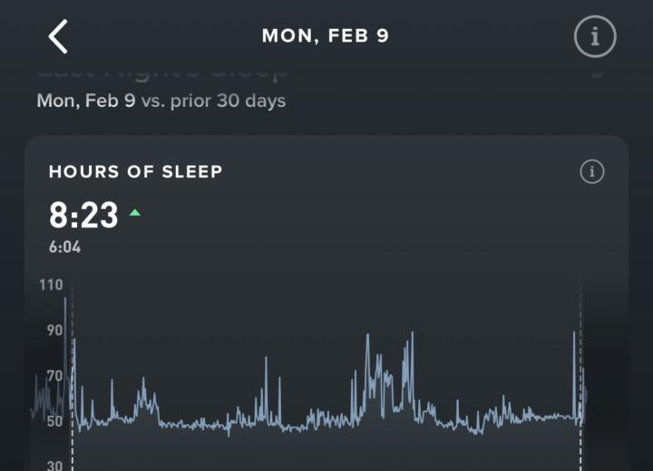 Day 40: The Boring Middle