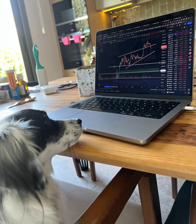 Trader BrightDays