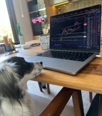 Trader BrightDays