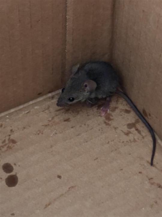 Overcoming a 'Perceived Fear'