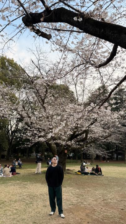 我在東京櫻花樹下，談一場關於「財務自由」的真實故事