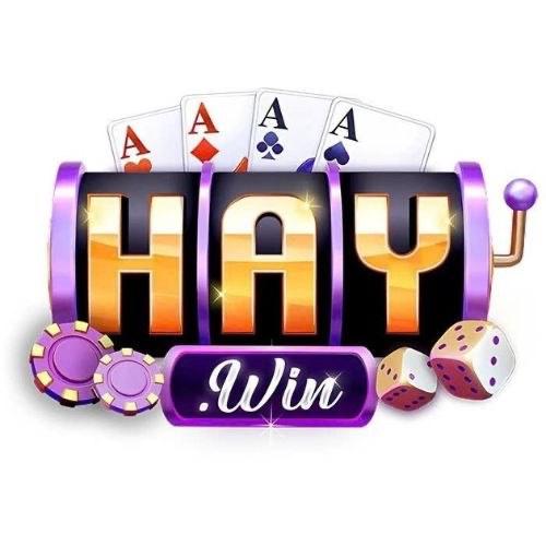 Haywin Hu net