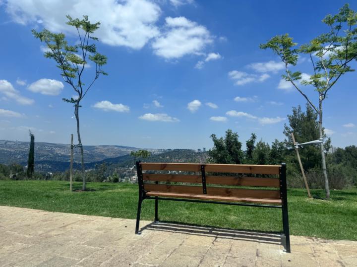 בר פלד Bar