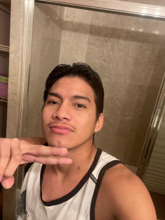 William Eliseo Silva Vicuña