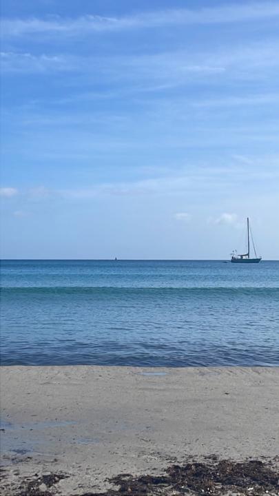 Antonietta Del piccolo