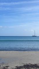 Antonietta Del piccolo