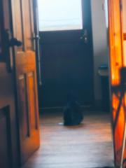 Danjela Nikolina Grekov