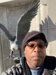 Chief Peace Eagle