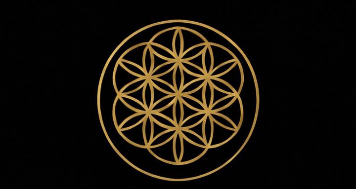 Wholeness Collective
