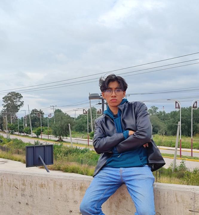 David  Constantino Vargas Chavez
