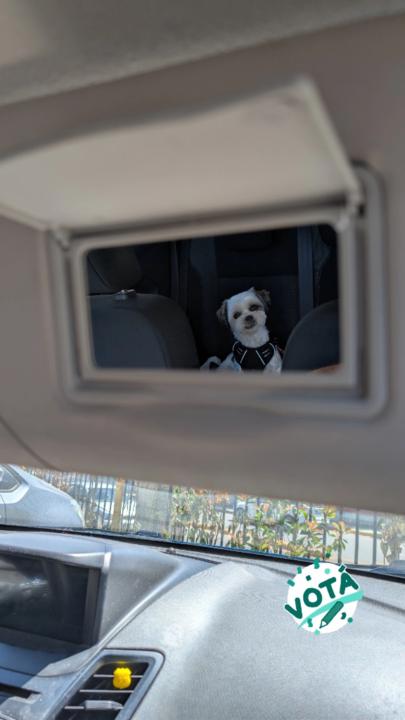 María Milagros Aloy