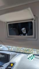 María Milagros Aloy