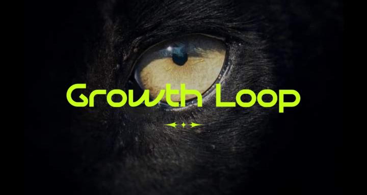 Growth Loop
