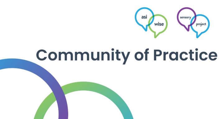 Sensory Project Ayres’ SI CoP