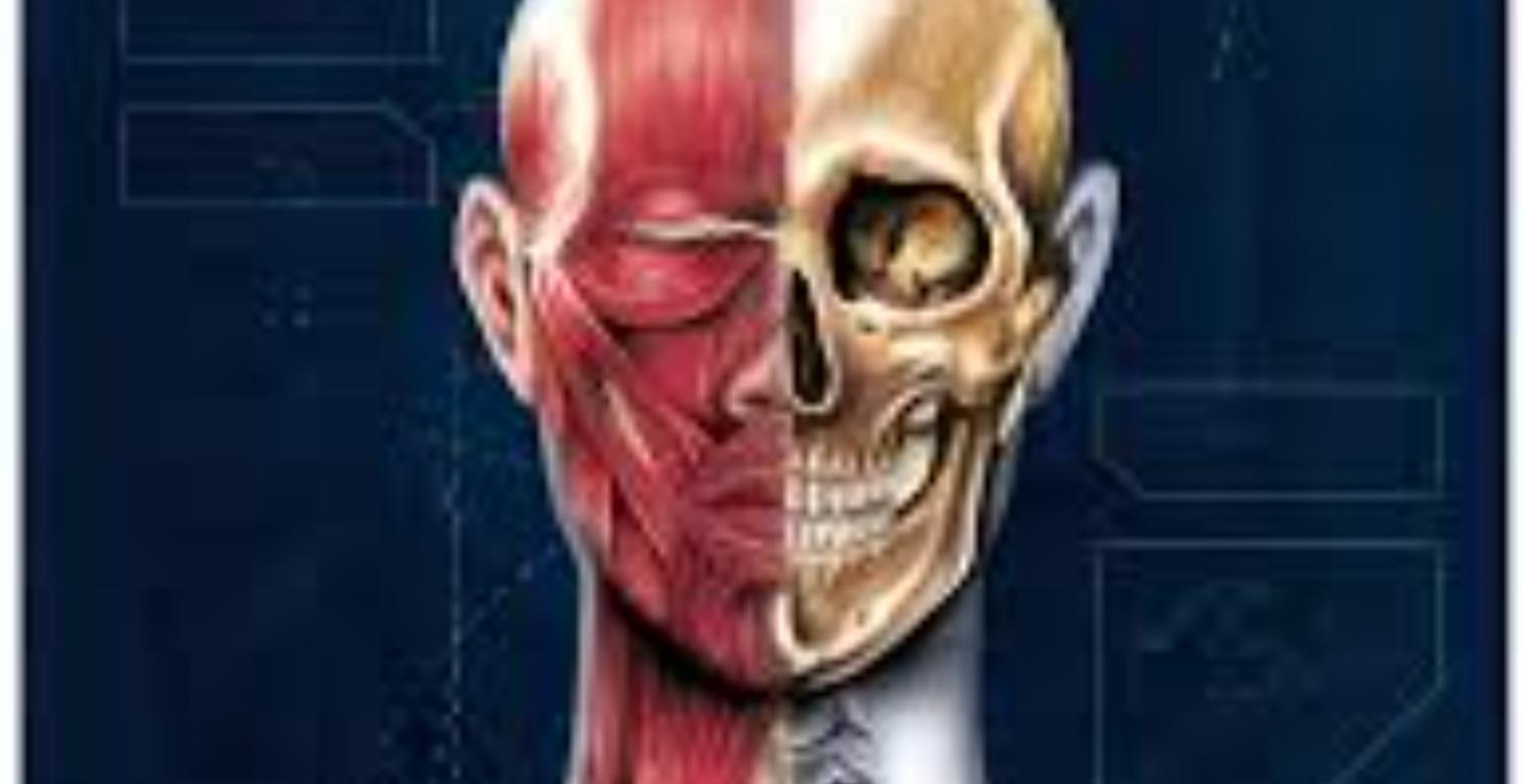 Intensivo Anatomia