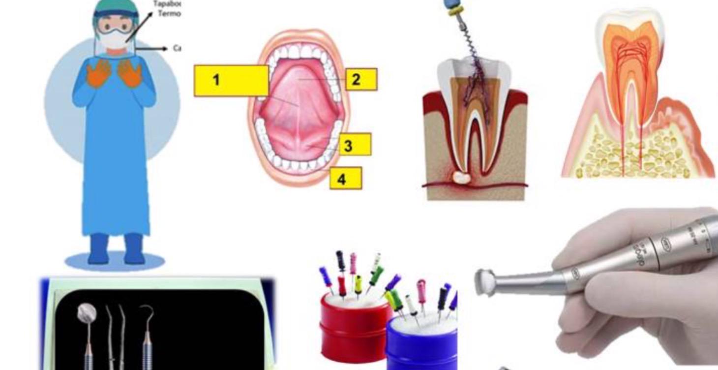 Intensivo Endodoncia