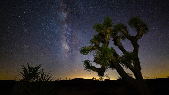 Jenniffer Solares Ruano